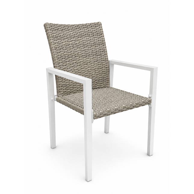 Winston Rattan Outdoor Dining Chair (2 Pack)