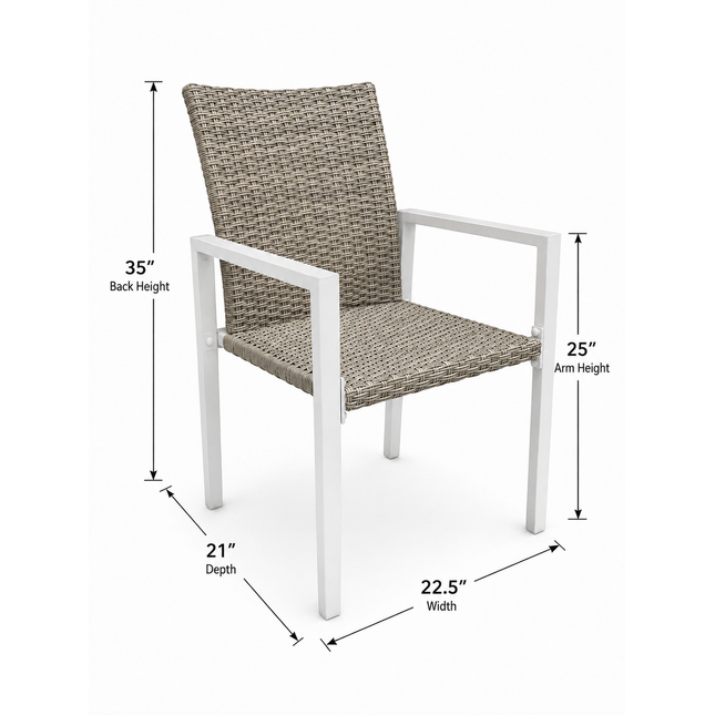 Winston Rattan Outdoor Dining Chair (2 Pack)