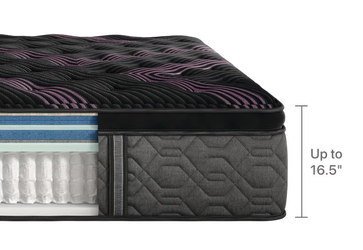 <strong>Series Two</strong>