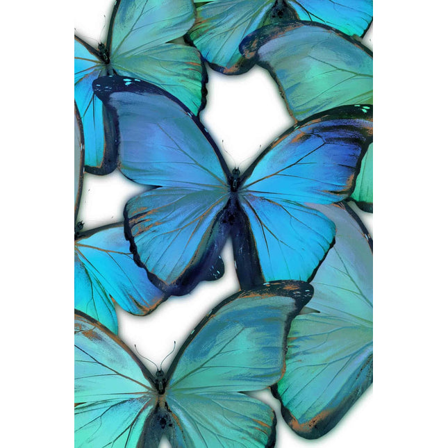 The Butterfly features close-up visuals of vibrant blue and green butterflies with iridescent wings on a white background. Their turquoise and teal shades, intricate details, and black-edged hints resemble museum-quality artwork, leaving a lasting impression.