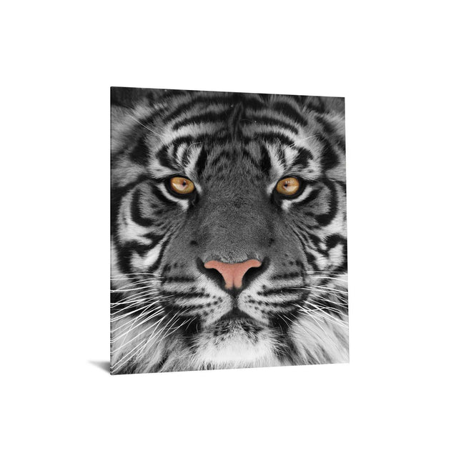 The Tiger Eyes artwork features a close-up portrait of a tiger with sharp black stripes and focused eyes against a white background. This museum-quality piece beautifully captures the tigers intense gaze, adding wildlife elegance to any home or office setting.