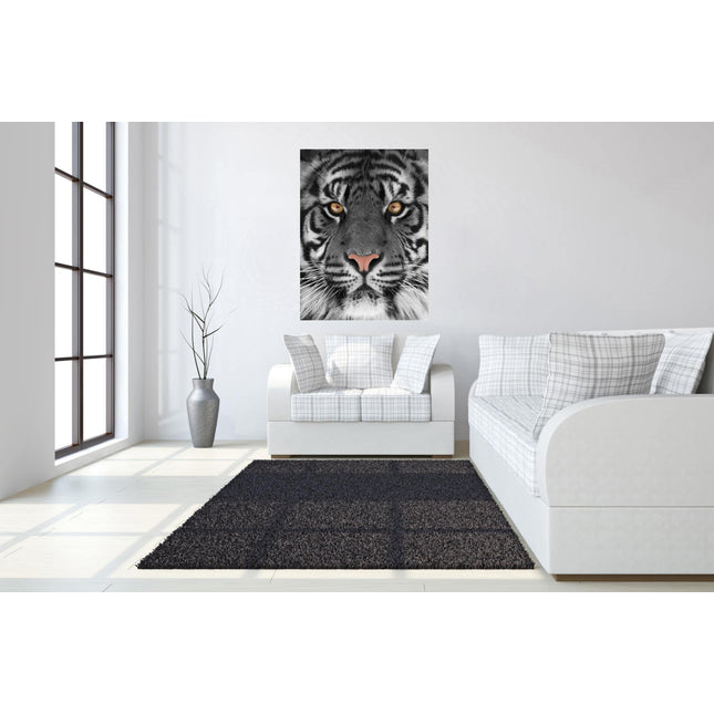 A modern living room features the Tiger Eyes museum-quality artwork, a white sofa, and white walls. A dark rug covers the light wood floor, while a tall plant in a gray vase by the large window lets natural light flood into the space.