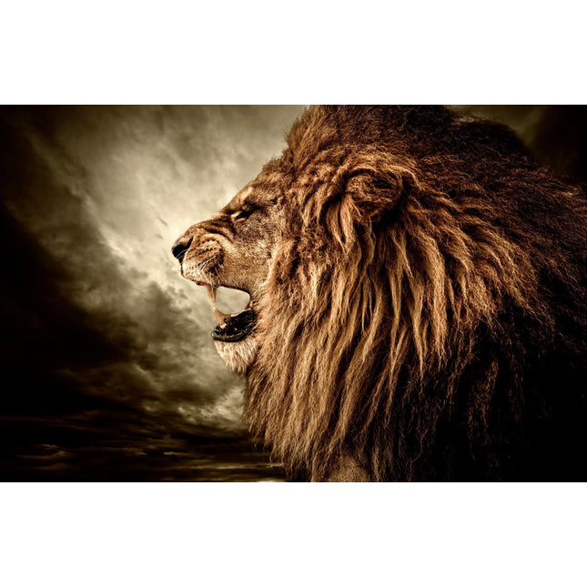 A sepia-toned image titled Lion showcases a side profile of a majestic lion with a thick mane roaring against a cloudy sky. This museum-quality artwork on floating tempered glass highlights the lions powerful expression and fur texture.