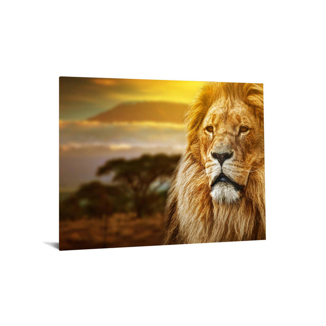 The Lion Safari artwork captures a majestic lion with a full mane, set against a savanna landscape with trees and a blurred sunset sky, creating a warm, golden atmosphere that adds elegance to any home or office.