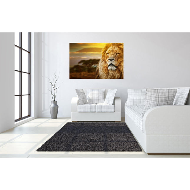 In a modern living room, a white couch with plaid pillows sits on a dark gray rug. The Lion Safari portrait, museum-quality artwork, hangs above. Sunlight illuminates shadows on the wooden floor and highlights a stylish vase with dry branches—ideal for home or office decor.