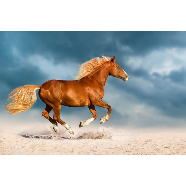 The Golden Gallop, with its flowing mane and tail, charges across the sandy terrain under a cloudy sky, leaving an impression. Dust rises from its hooves as it races forward, highlighting its strength and agility.