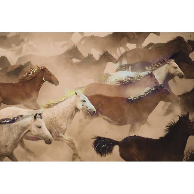 The Wild Horses artwork captures a herd galloping through dusty terrain, their flowing manes and tails accentuating the dynamic scene of predominantly brown and white coats, creating an energized atmosphere suitable for any home or office.