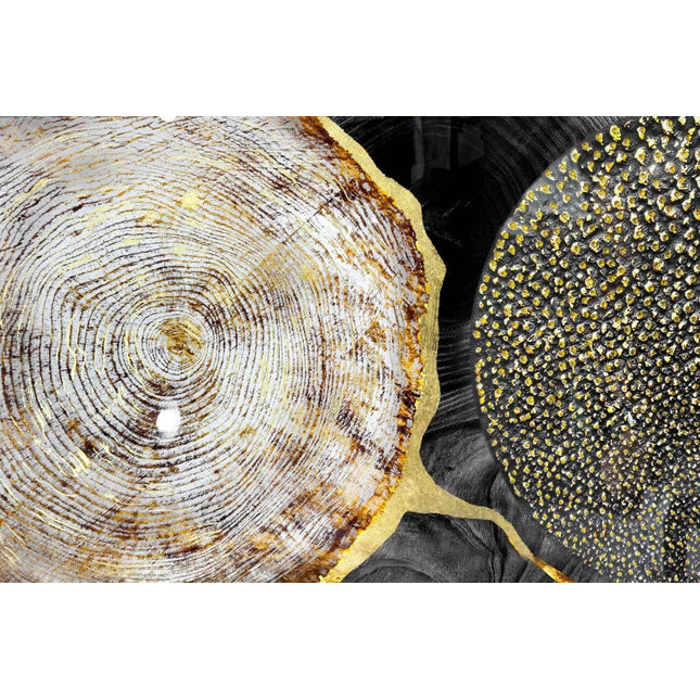 Tree Rings