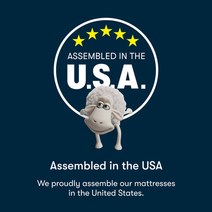 Serta® Perfect Day Mattress (MIB!)