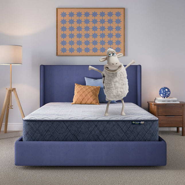 Serta® Perfect Day Mattress (MIB!)