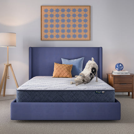 Serta® Perfect Day Mattress (MIB!)