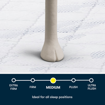 Serta® Perfect Day Mattress (MIB!)