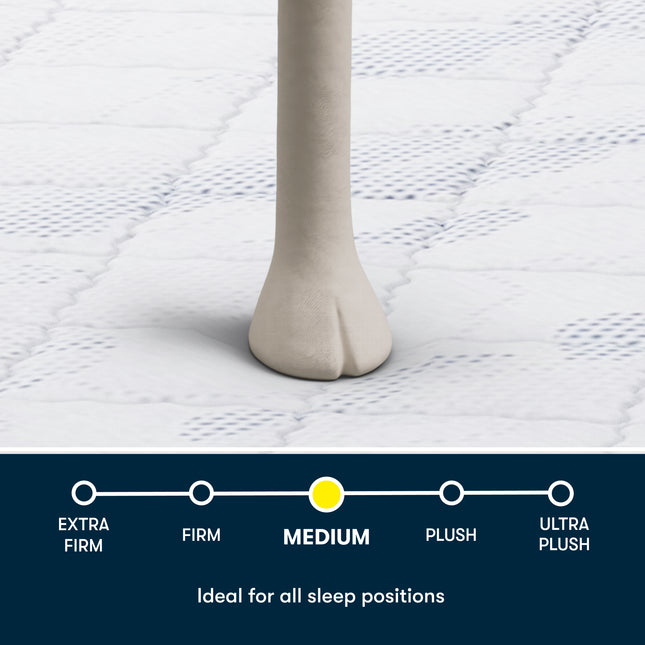 Serta® Perfect Day Mattress (MIB!)