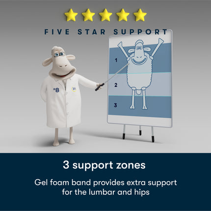 Serta® Perfect Day Mattress (MIB!)